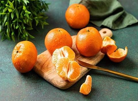 تصویر 2 از قیمت خرید نارنگی شیراز + فروش ویژه